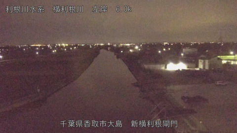 yoko2025110500_image