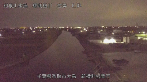 yoko2025110501_image