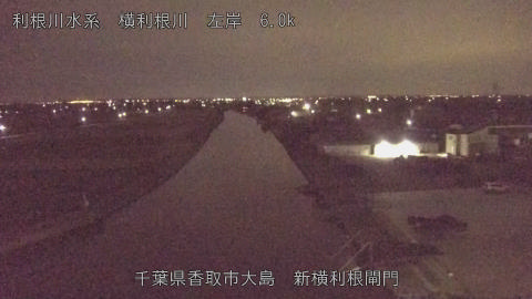 yoko2025110502_image