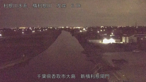 yoko2025110503_image