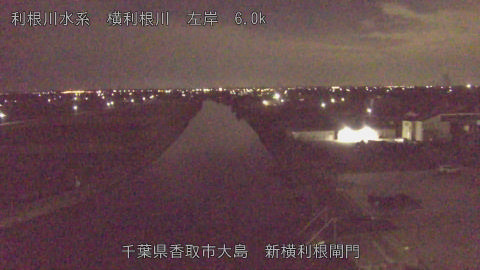 yoko2025110504_image