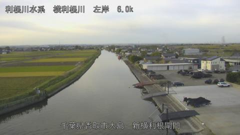 yoko2025110507_image