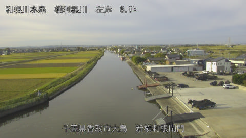 yoko2025110508_image