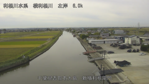 yoko2025110510_image