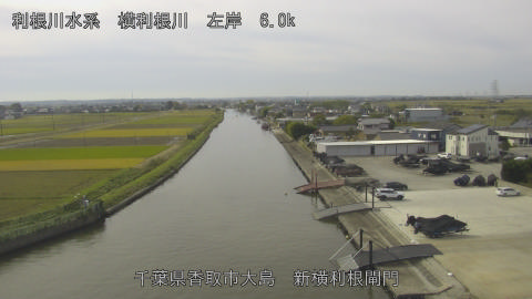 yoko2025110511_image