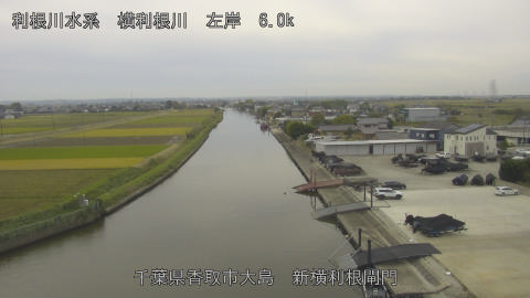 yoko2025110512_image