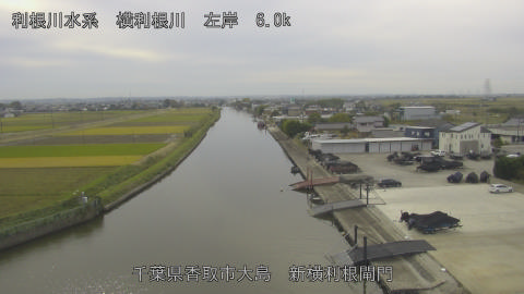 yoko2025110513_image