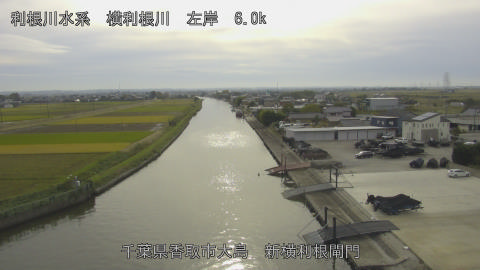 yoko2025110514_image