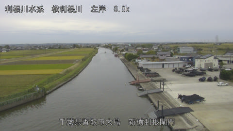 yoko2025110515_image