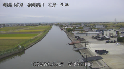 yoko2025110516_image