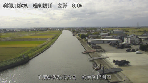 yoko2025110612_image