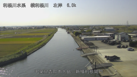 yoko2025110712_image