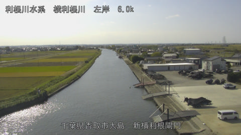 yoko2025110812_image