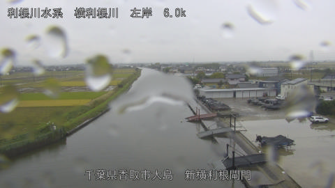 yoko2025110912_image