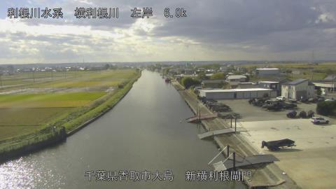 yoko2025111012_image