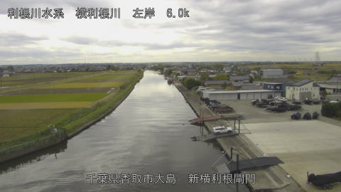 yoko2025111112_image