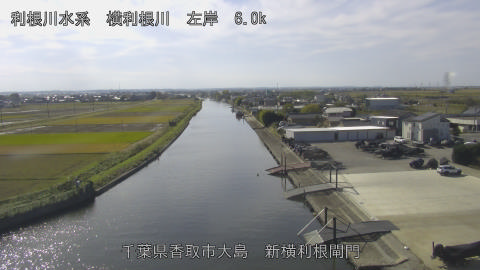 yoko2025111212_image