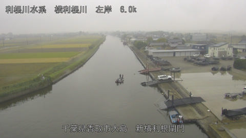 yoko2025111312_image