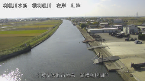 yoko2025111412_image