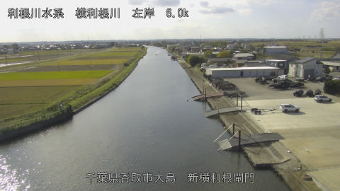 yoko2025111512_image