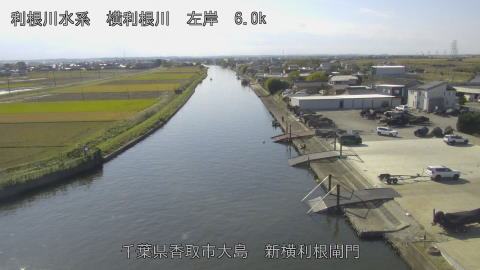 yoko2025111612_image