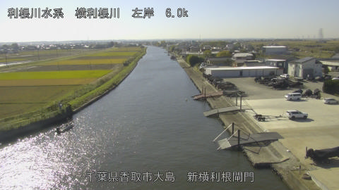 yoko2025111712_image