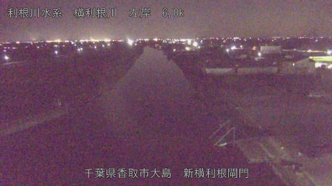 yoko2025111719_image