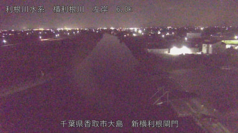 yoko2025111720_image