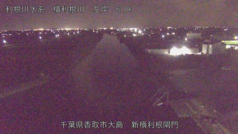 yoko2025111721_image