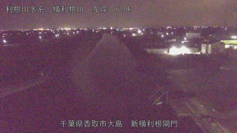 yoko2025111722_image