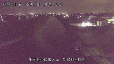 yoko2025111723_image