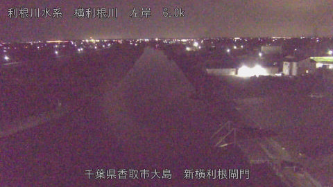 yoko2025111800_image