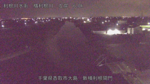 yoko2025111801_image