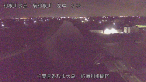 yoko2025111802_image