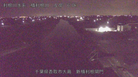 yoko2025111803_image