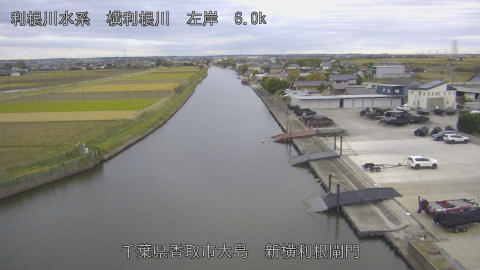 yoko2025111807_image