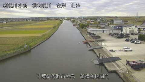 yoko2025111808_image