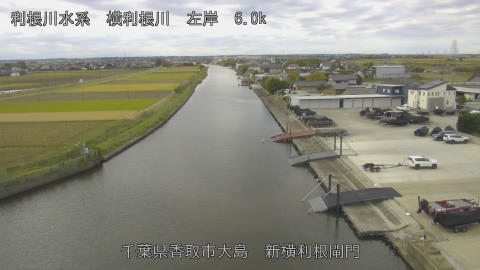 yoko2025111809_image