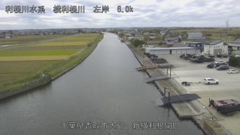 yoko2025111810_image