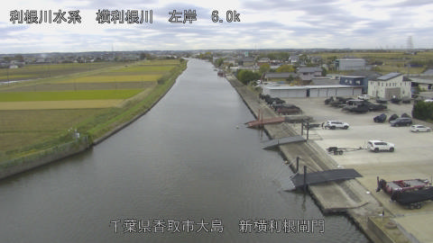 yoko2025111811_image