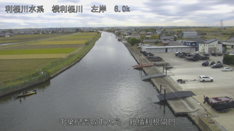 yoko2025111812_image