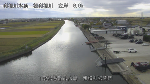 yoko2025111813_image