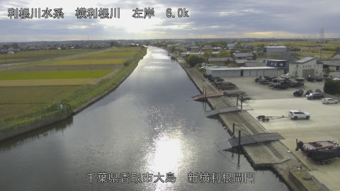 yoko2025111814_image