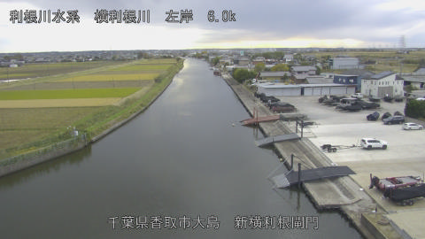 yoko2025111815_image