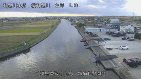 yoko2025111816_image