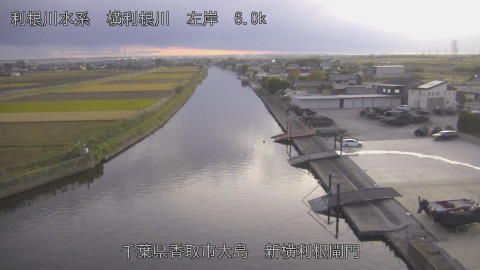 yoko2025111817_image