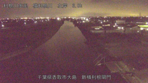 yoko2025111818_image