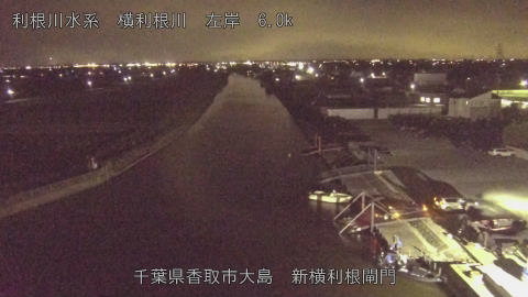 yoko2025111819_image