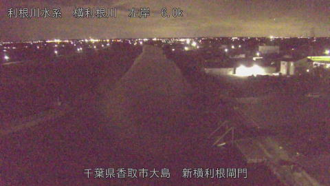 yoko2025111821_image