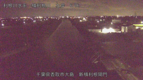 yoko2025111822_image